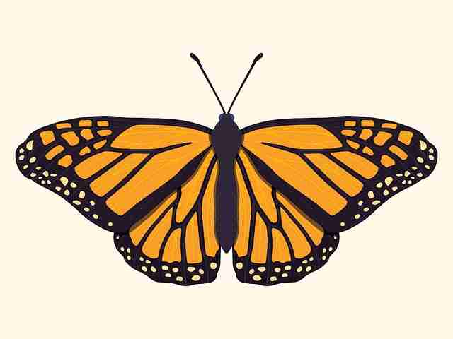 全面解读手册：微密圈 官网的注册登录攻略使用教程与用户评价与反馈案例