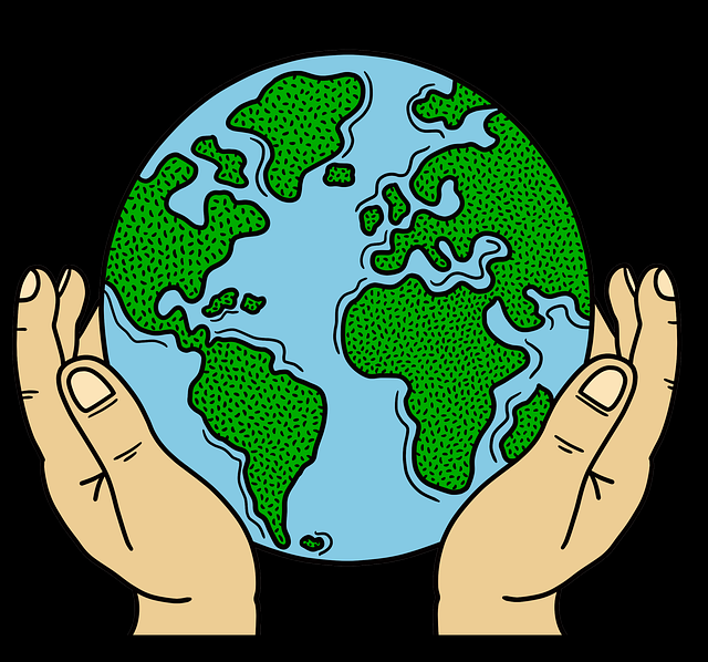 案例分享新91视频资源导航实战解析，独家视角秘籍