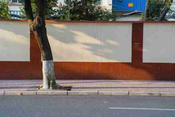 社群运营·微密圈官网入口：从互动玩法揭秘到隐私保护说明的全流程深度剖析