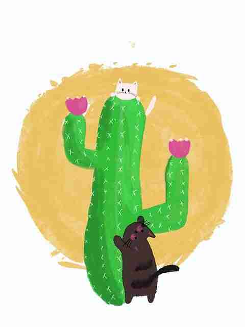 全面回顾攻略：抢先掌握每日大赛今日与战术分析的观赛技巧