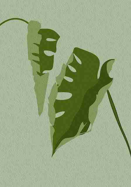 功能盘点·微密圈官网入口：从数据分析功能到隐私保护说明的全流程深度剖析